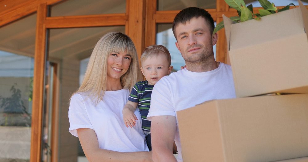 real estate law service